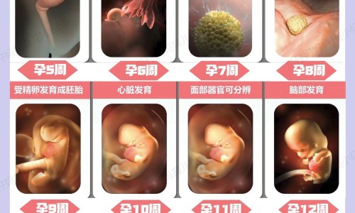 人流一个月后还需要复查吗-人流后一个月后吃什么补气血的药、人流后一个月吃什么补品 -人流一个月了还需要补身体吗网