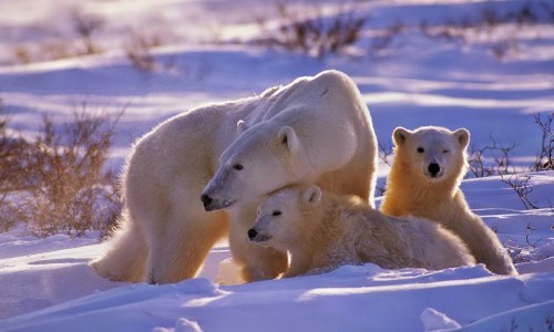 一个月人流对身体-人流后一个月后吃什么补气血的药、人流后一个月吃什么补品 -人流一个月了还需要补身体吗网